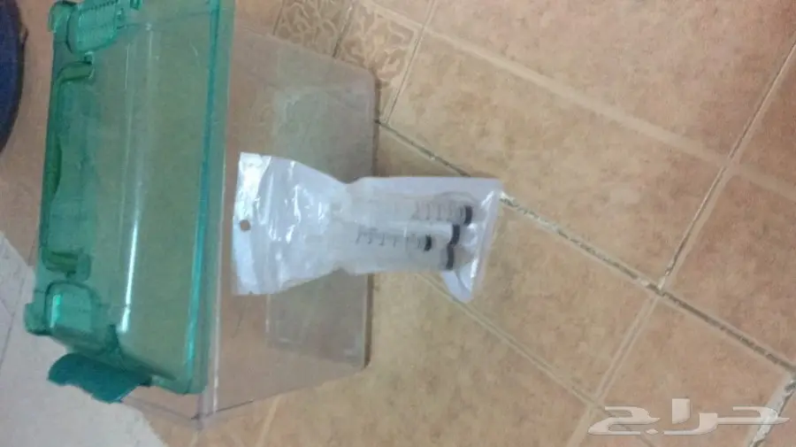 ابغا ببغاء او فرخ لتبني او البيع  (image 5)