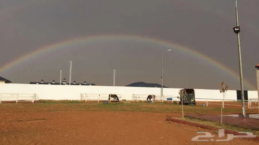 ايواء الرمك والامهار في الجنادرية  (image 2)