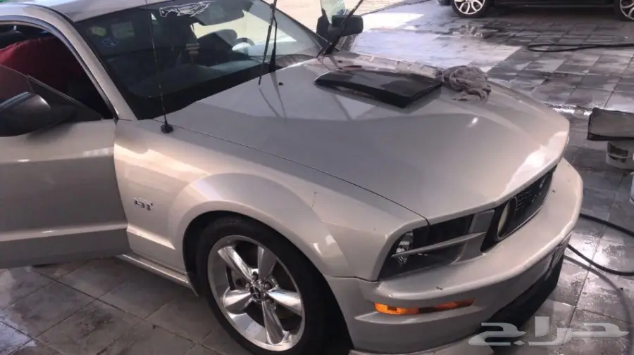 موستنق جي تي (image 6)