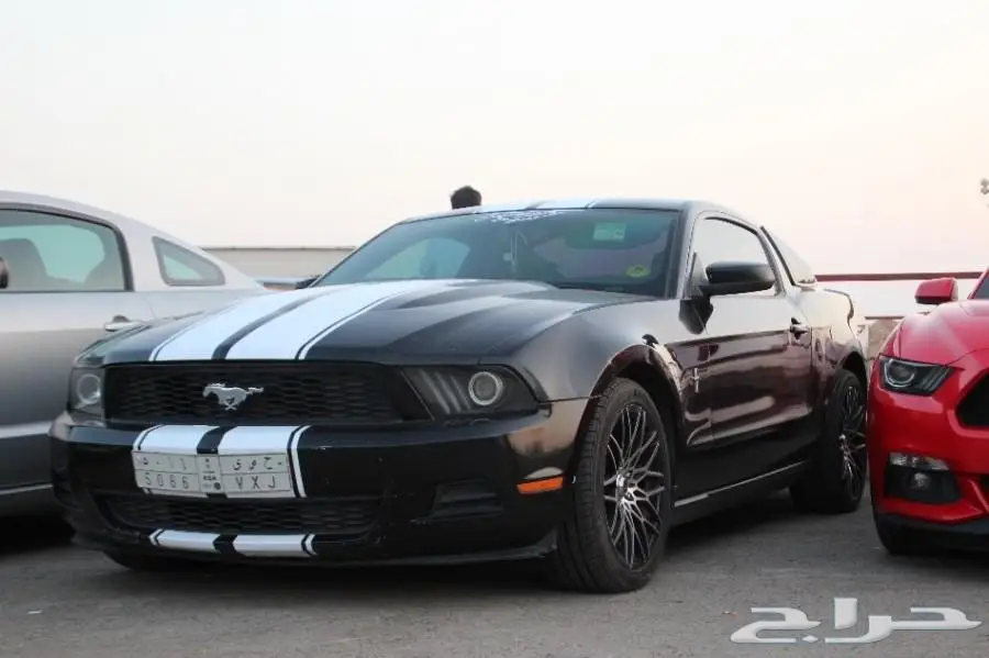 موستينق 2010 (image 9)