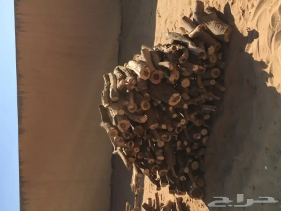 سمر صافي  (image 1)