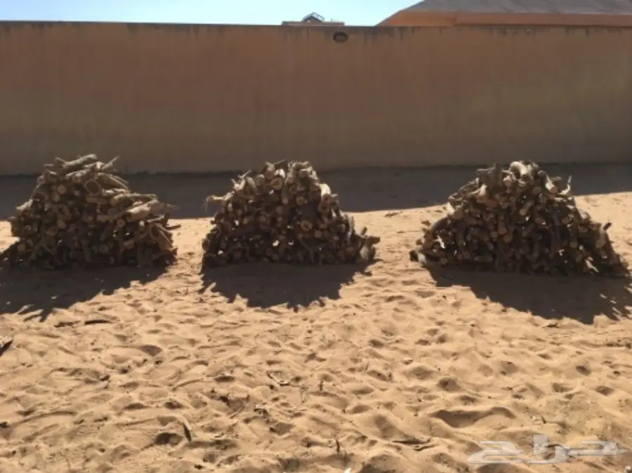 سمر صافي  (image 2)