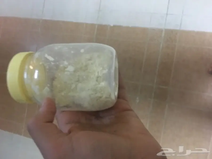 ابغا ببغاء او فرخ لتبني او البيع  (image 4)