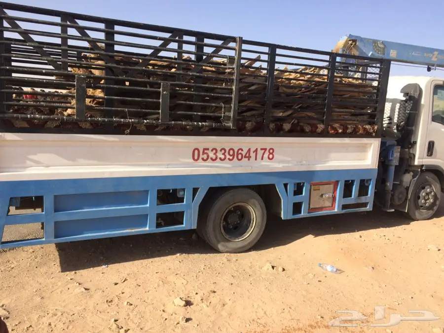 ح ط.   ب.   شحنة دنه