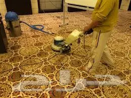 شركة تنظيف بالرياض ومكافحة حشرات بالرياض  (image 19)