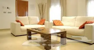 شركة تنظيف بالرياض ومكافحة حشرات بالرياض  (image 16)