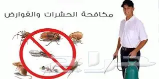 شركة تنظيف بالرياض ومكافحة حشرات بالرياض  (image 6)