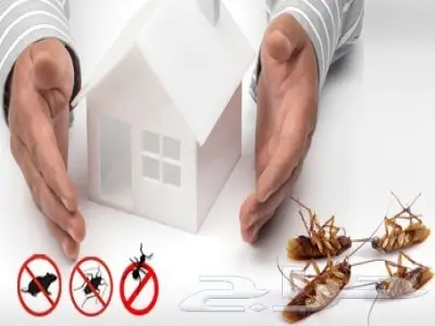 شركة تنظيف بالرياض ومكافحة حشرات بالرياض  (image 7)