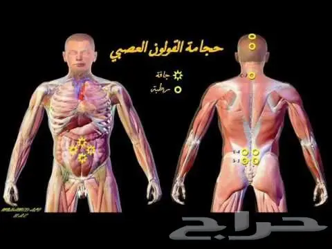 اليوم 19 منافضل اوقات الحجامة (image 3)