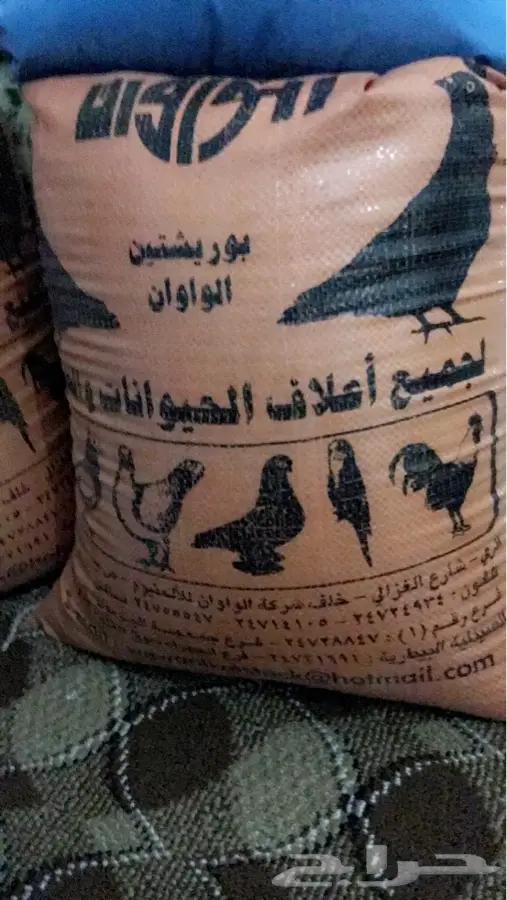 اكل طيور قمبز ونيجر وكتان و خردل فيتامين (image 1)