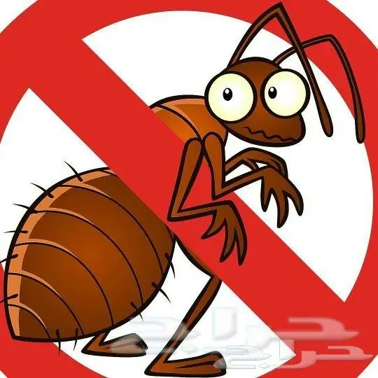 رش مبيدات مكافحة حشرات نمل صراصير فئران برص  (image 14)