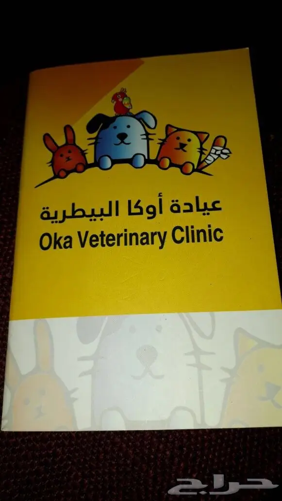 قطوه تايقر أنثى للبيع.  (image 4)