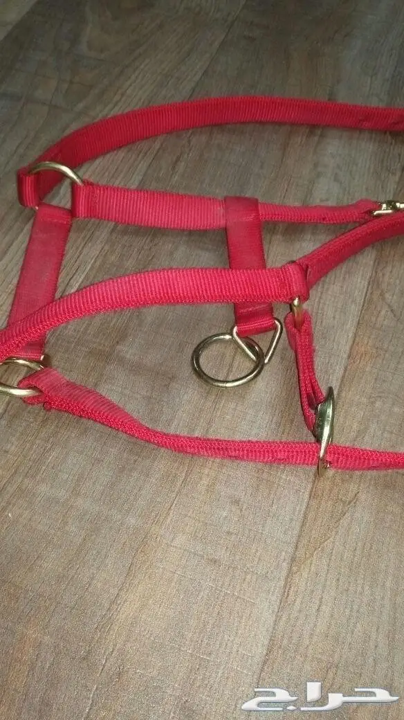 لوازم خيل (image 1)