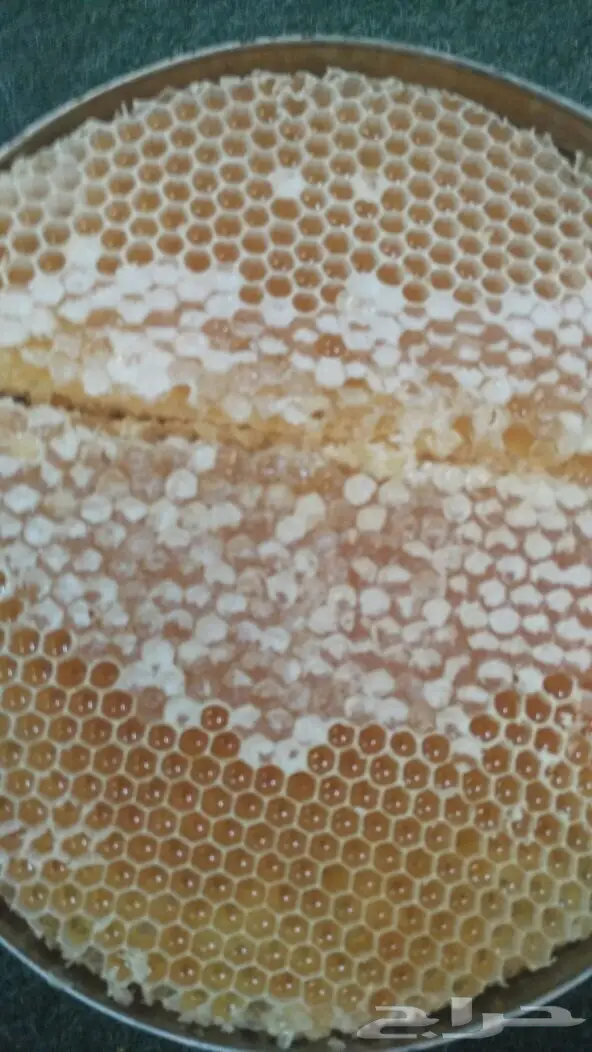 عسل أصلي طبيعي - شفاء من الله (image 2)