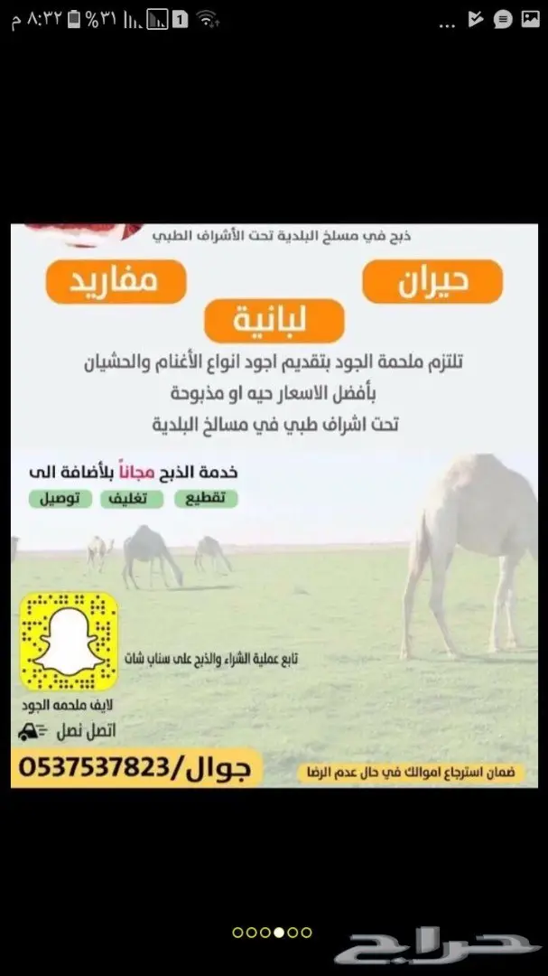 نحر قبل قليل حاشي بري لباني  (image 4)