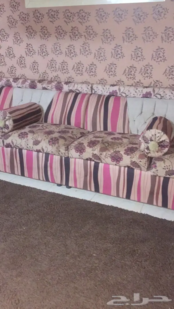 القصيم بريدة (image 4)