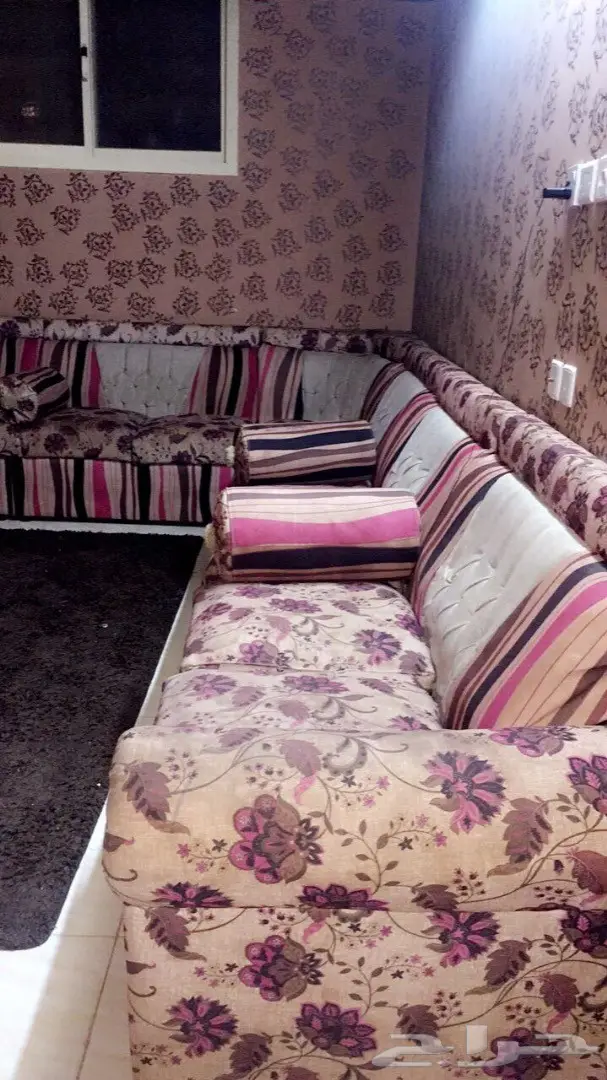 القصيم بريدة (image 5)