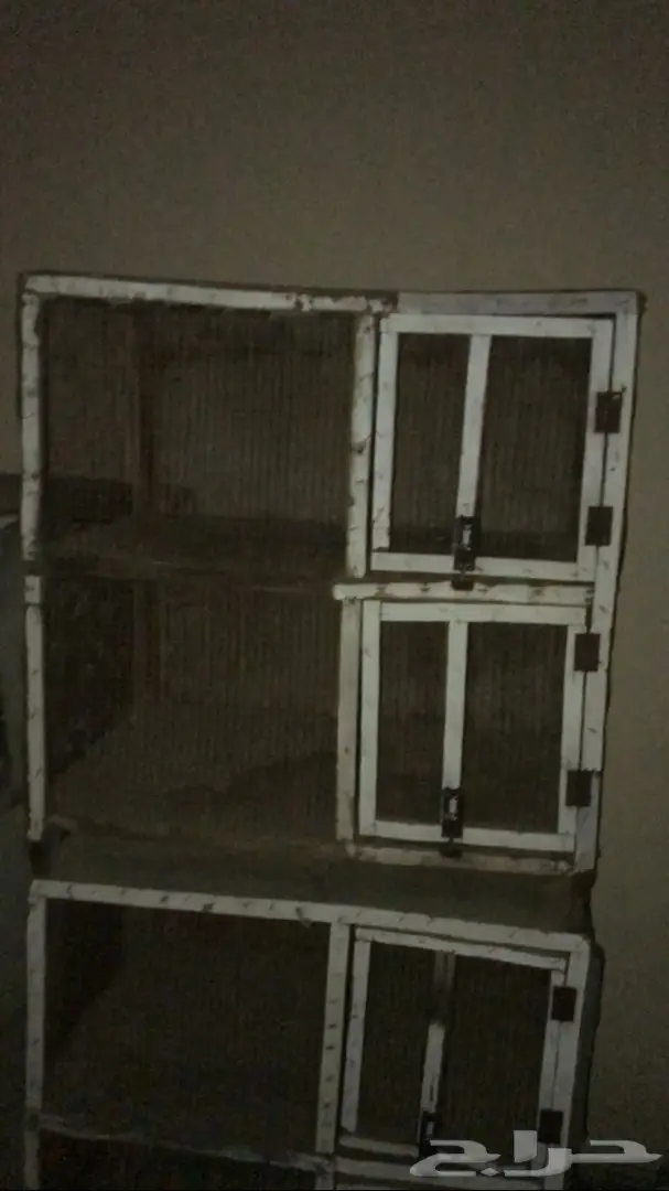 محاكر للبيع 