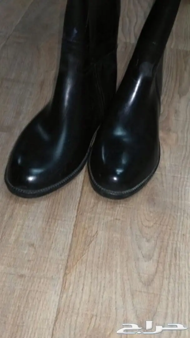 لوازم خيل (image 3)