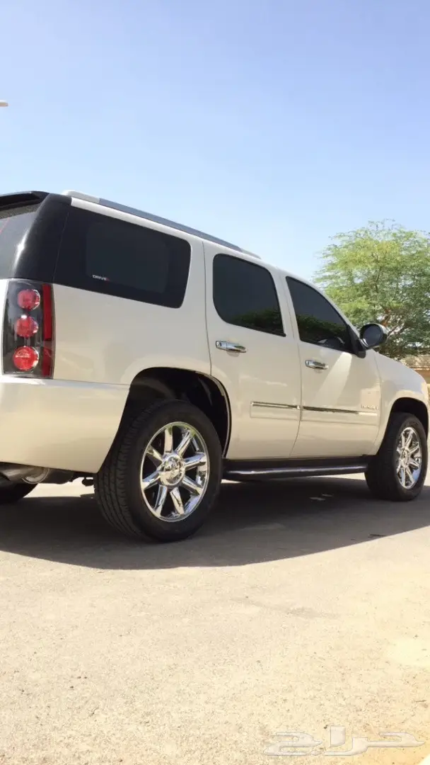 يوكن دينالي لؤلؤي 2011 (image 2)