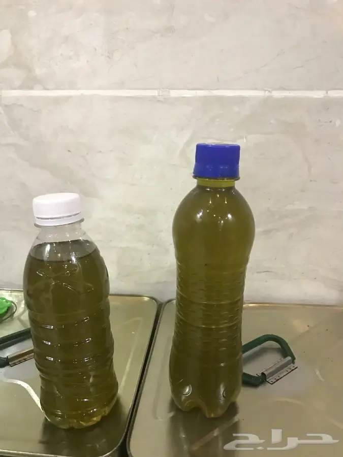زيت زيتون فلسطيني اصلي درجه اولى (image 0)