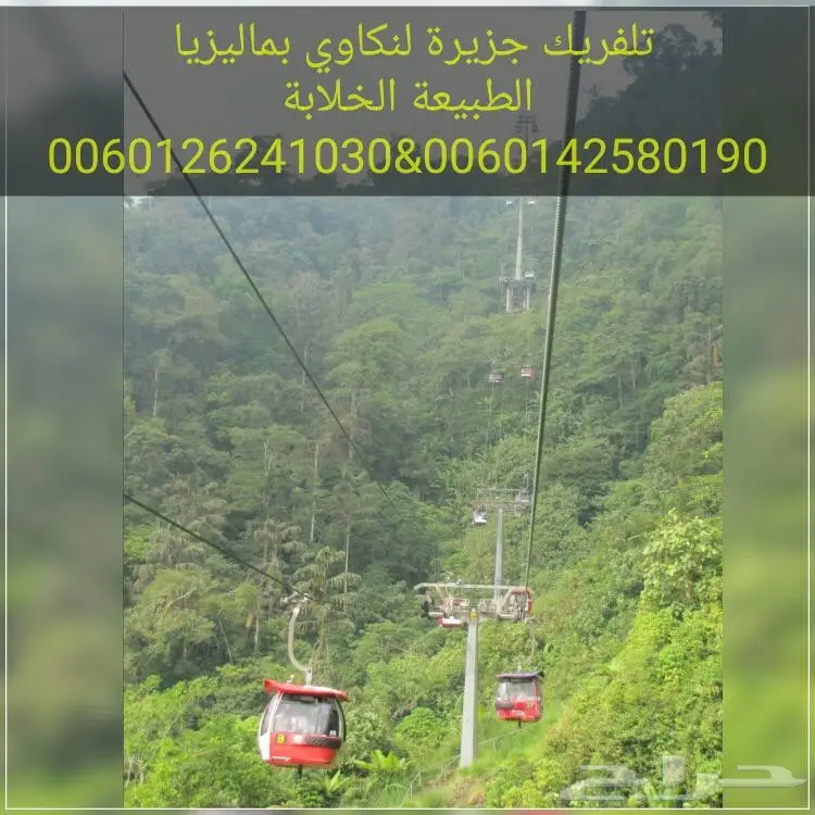 بكج سياحي 10 ايام بماليزيا لزوجين وطفلين 2018 (image 10)