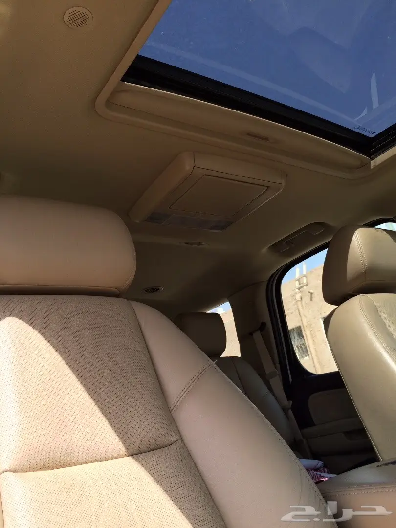 يوكن دينالي لؤلؤي 2011 (image 12)