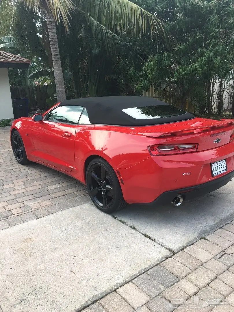 كمارو كشف مميز (image 1)