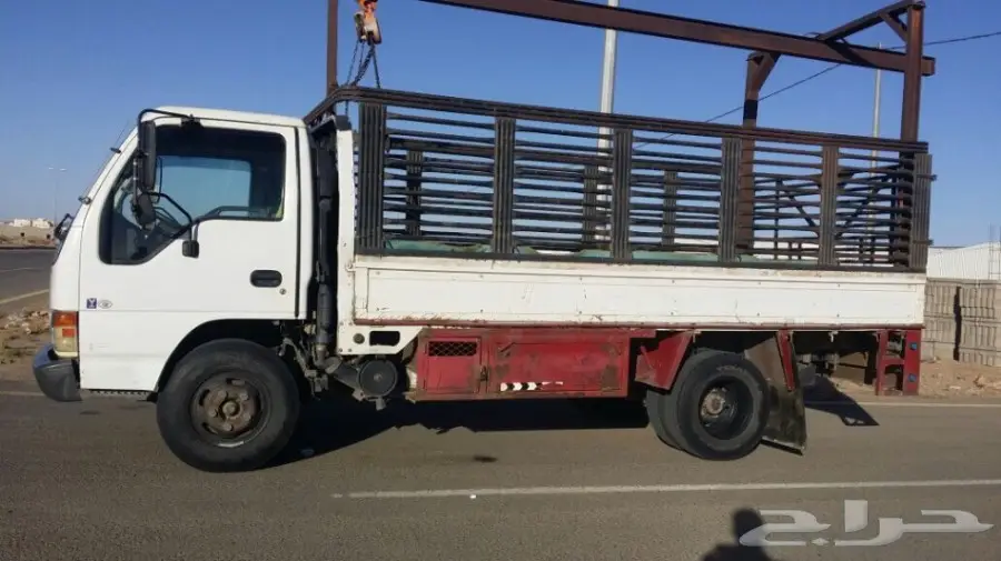 دينا سيزو 2005 