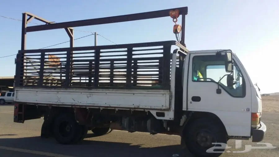 دينا سيزو 2005  (image 1)