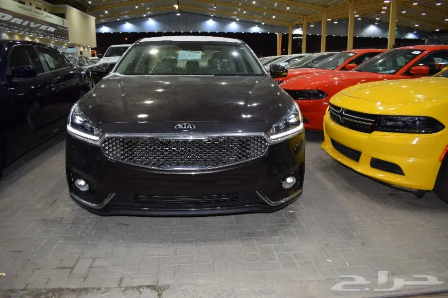 كيا كادينزا 3.3 استاندر الجبر 2018  (image 4)