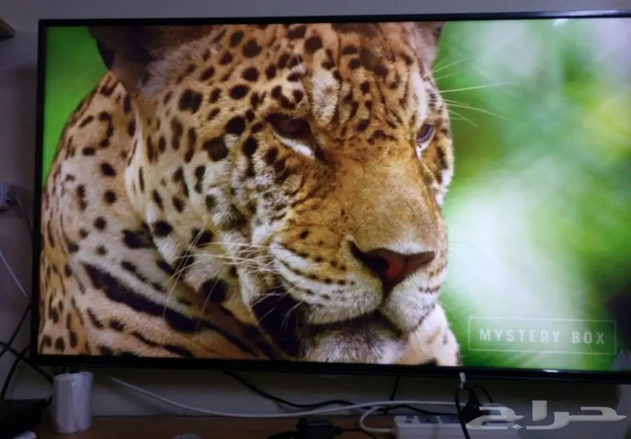 شاشة سكاي ورث 32 بوصه