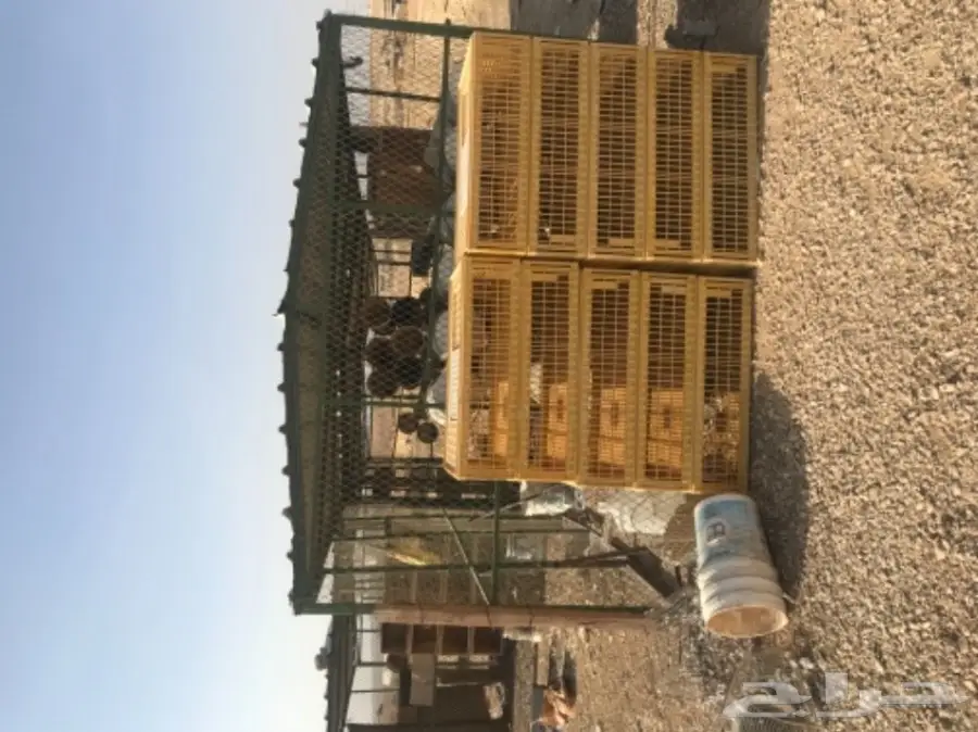 شبك حمام ومطاره