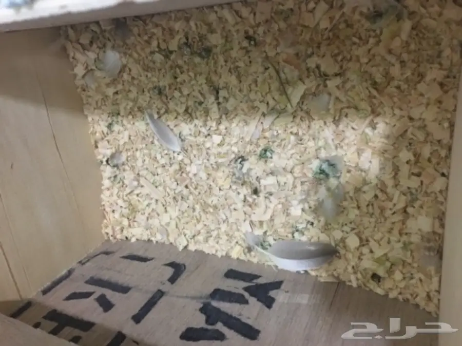 زوج كروان منتج (image 2)