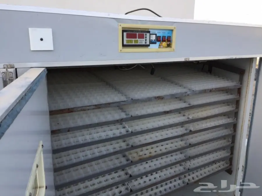 فقاسات صيني اكتروني (image 1)