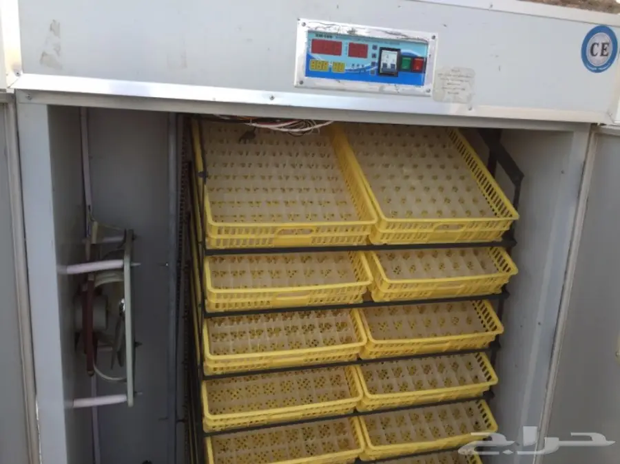 فقاسات صيني اكتروني (image 3)