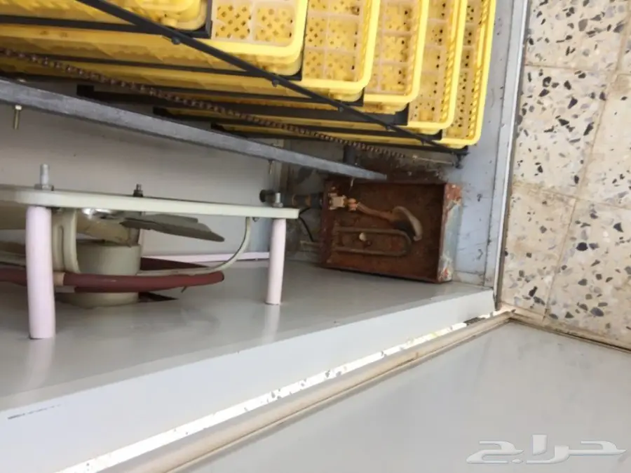 فقاسات صيني اكتروني (image 4)