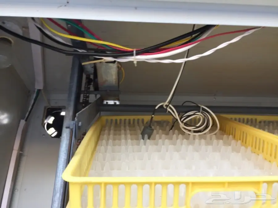 فقاسات صيني اكتروني (image 5)