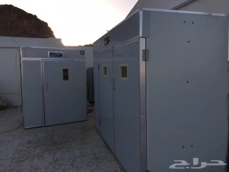 فقاسات صيني اكتروني (image 6)