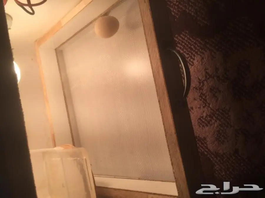 فقاسة وطني تجميع ايطالي 50 بيضة