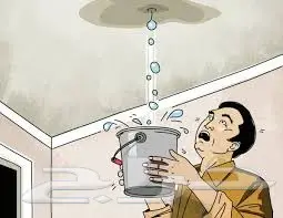 كشف تسربات المياه  (image 2)