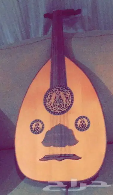 عود مصري نظيف جدا