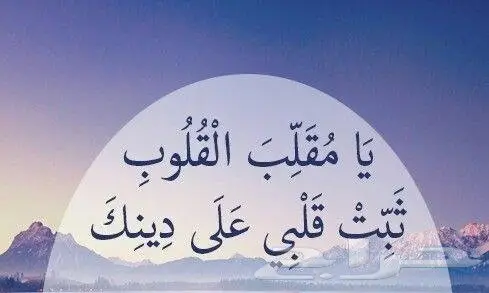 رائد الاستبدال للاجهزة الكهربائية  (image 36)