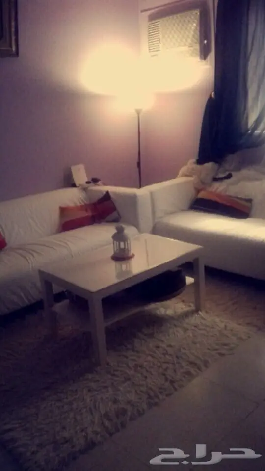 كنب وطاولة وسجادة