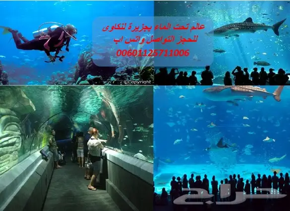 برنامج عائلى بماليزيا لمدة 13 يوم لشخصين وطفل (image 7)