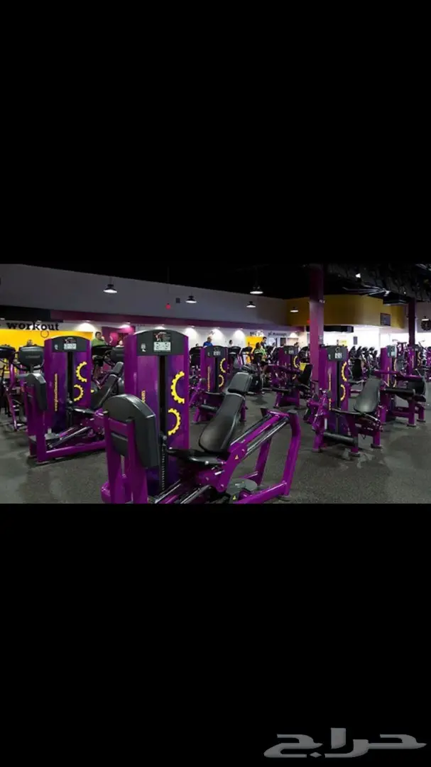 معدات صاله كمال اجسام امريكيه الصنع للبيع  (image 3)