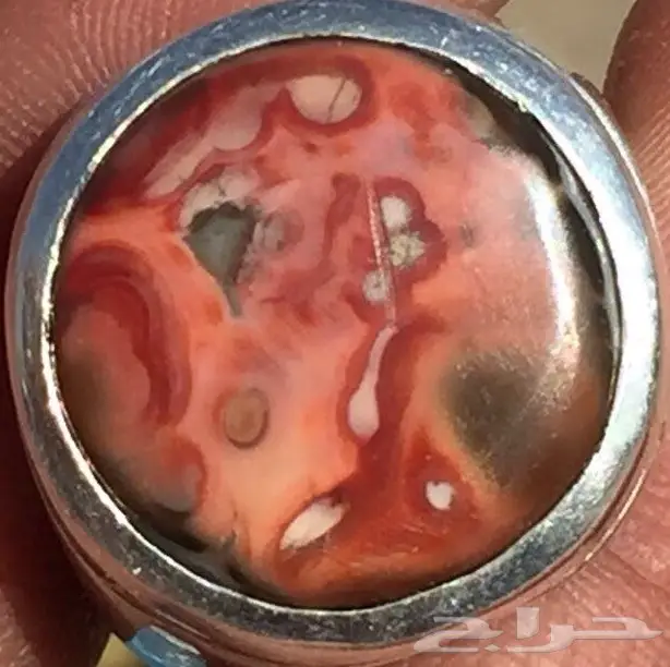 سليماني هندي تحفةةهه