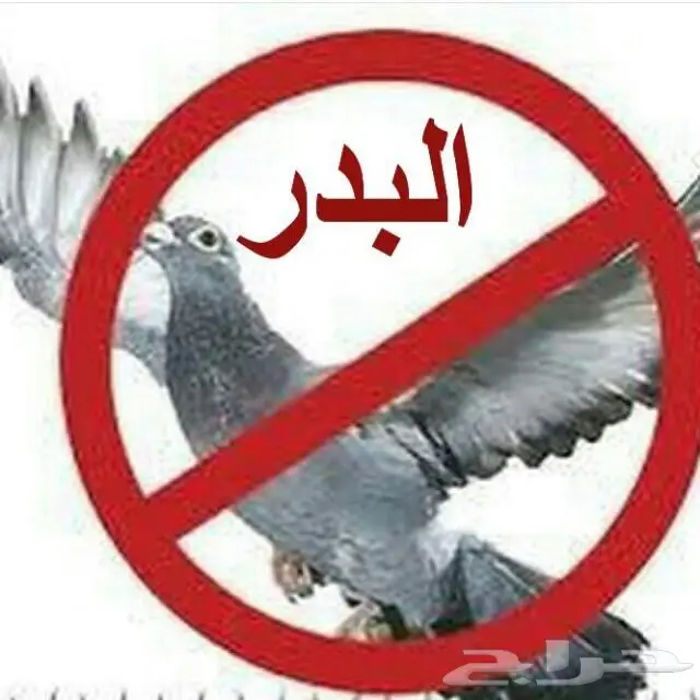 طارد للطيور 