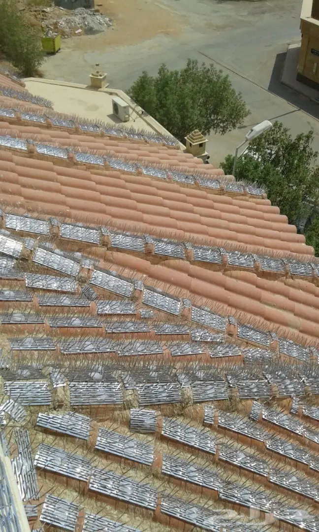 حلول نهائية لمشكلة طيور الغربان والطيور الأخرى! (image 6)