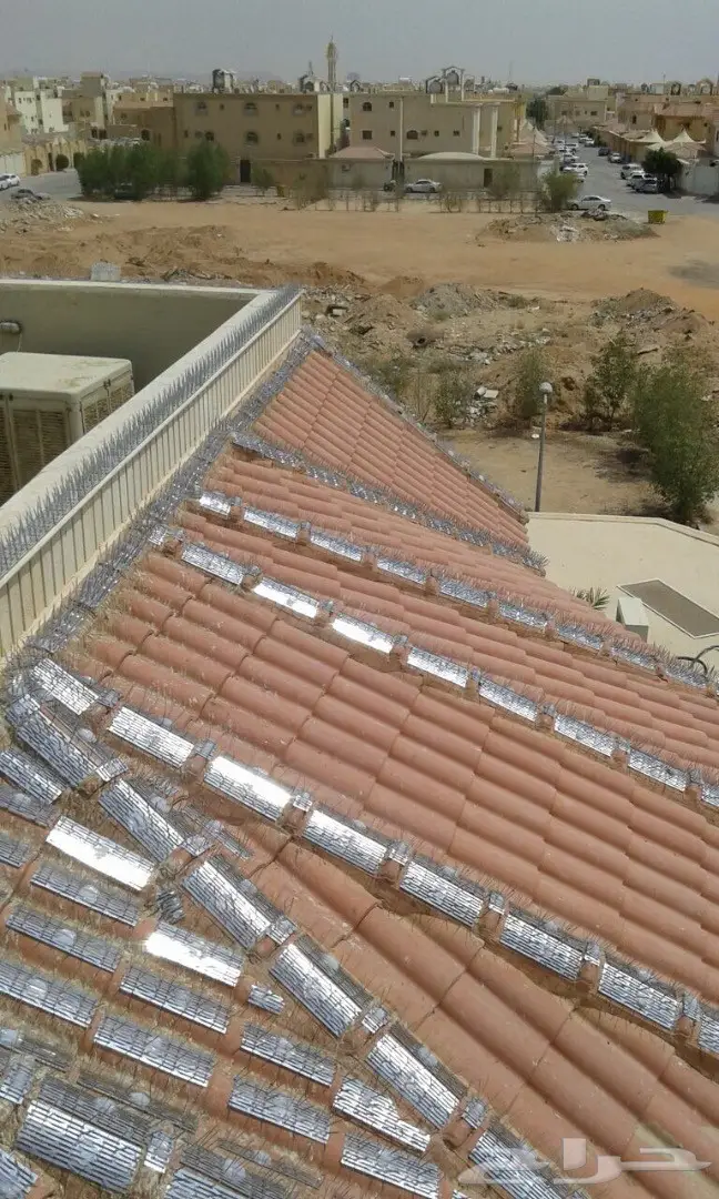 حلول نهائية لمشكلة طيور الغربان والطيور الأخرى! (image 7)